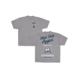 Utah State Hometown Graphic Tee - Gray